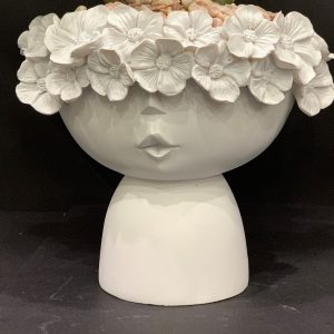 Protea Planter White H:14cm