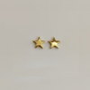 Sterling Silver and Gold Plated Star Stud Earing