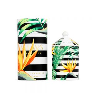 Mews Collective Birds of Paradise Mini Candle 100g